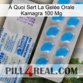 À Quoi Sert La Gelée Orale Kamagra 100 Mg new15